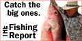 fish_button.gif (5632 bytes)